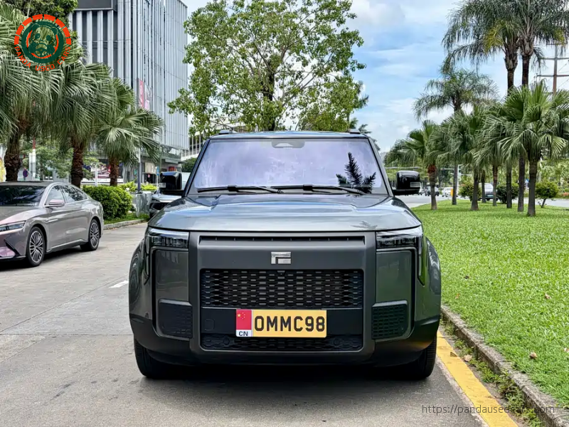 ROX ROX 01 2024 Premium 6-seater Standard Range Version