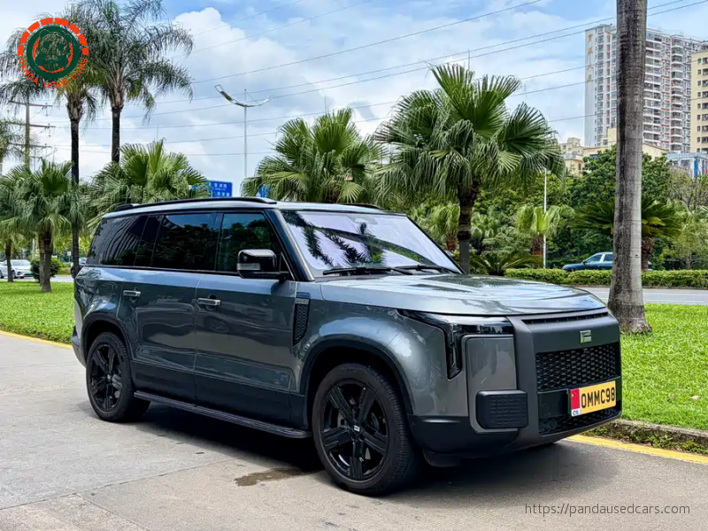 ROX ROX 01 2024 Premium 6-seater Standard Range Version