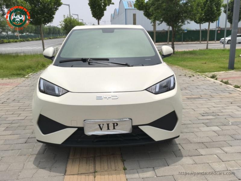 BYD BYD Seagull 2025 305km Smart Drive Active Edition