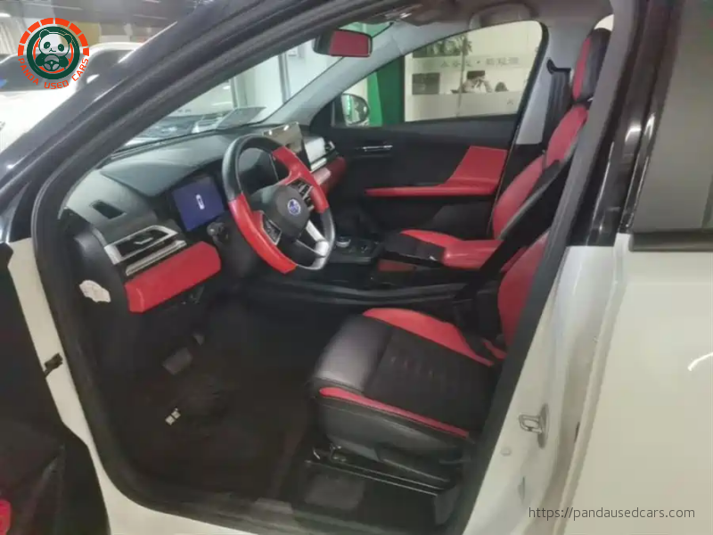 BYD BYD e2 2019 High Range Glory Deluxe Edition