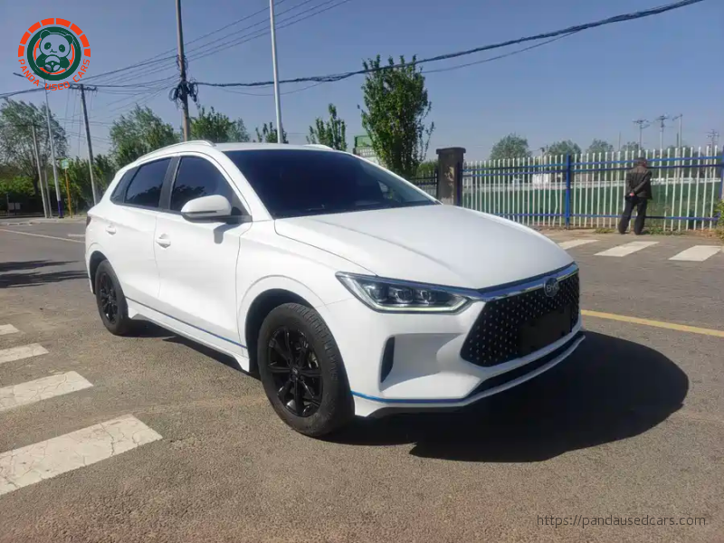 BYD BYD e2 2019 High Range Glory Deluxe Edition