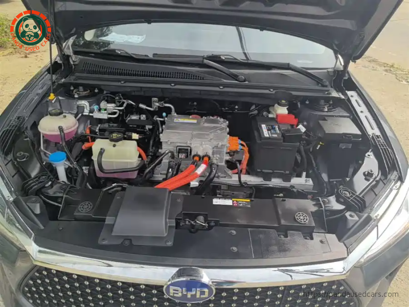 BYD BYD e2 2019 High Range Glory Deluxe Edition