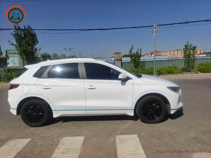 BYD BYD e2 2019 High Range Glory Deluxe Edition
