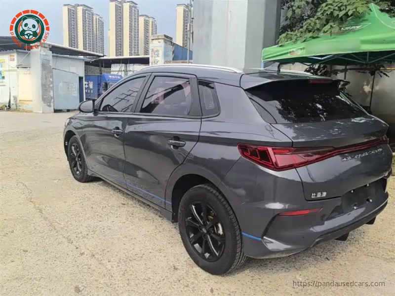 BYD BYD e2 2019 High Range Glory Deluxe Edition