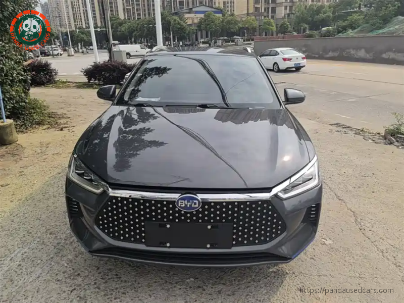 BYD BYD e2 2019 High Range Glory Deluxe Edition
