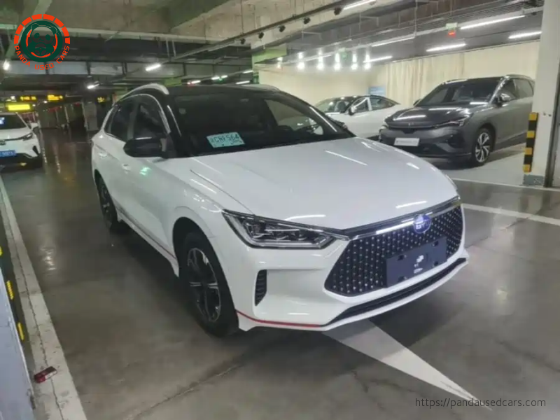 BYD BYD e2 2019 High Range Glory Deluxe Edition