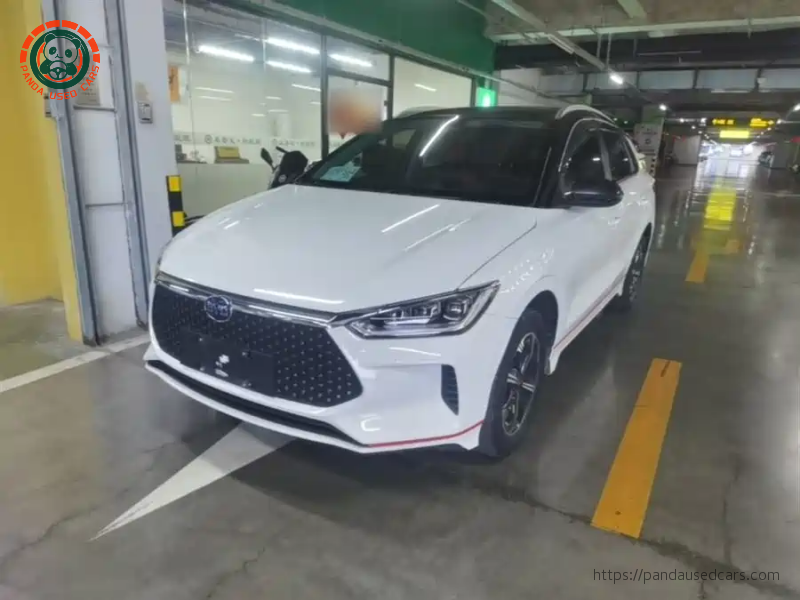 BYD BYD e2 2019 High Range Glory Deluxe Edition