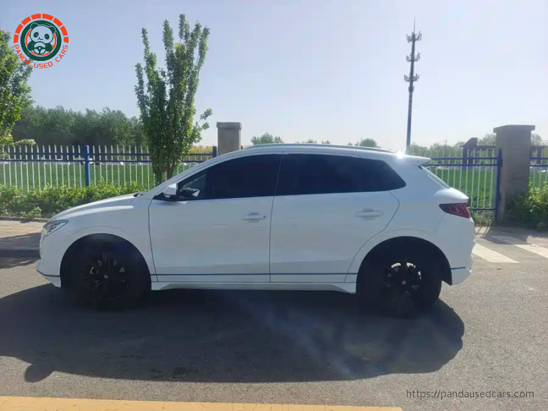 BYD BYD e2 2019 High Range Glory Deluxe Edition