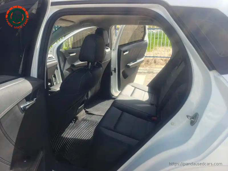 BYD BYD e2 2019 High Range Glory Deluxe Edition