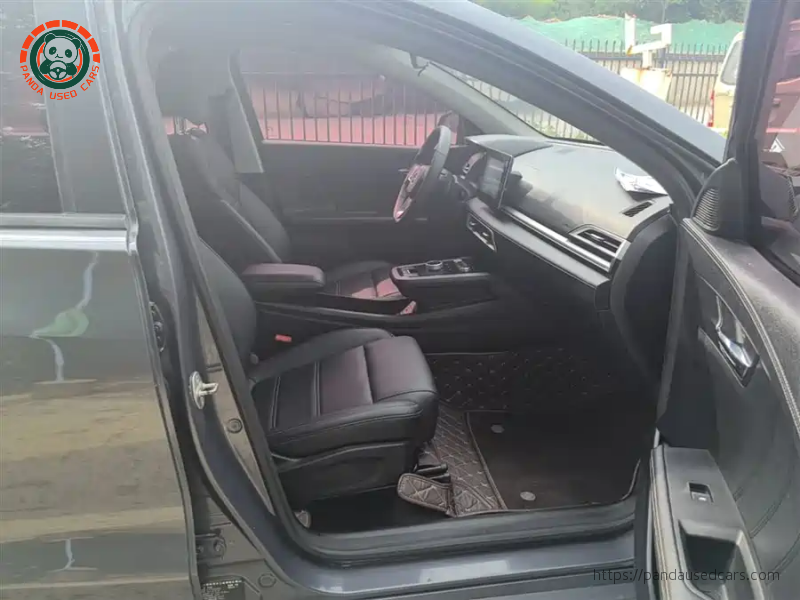 BYD BYD e2 2019 High Range Glory Deluxe Edition