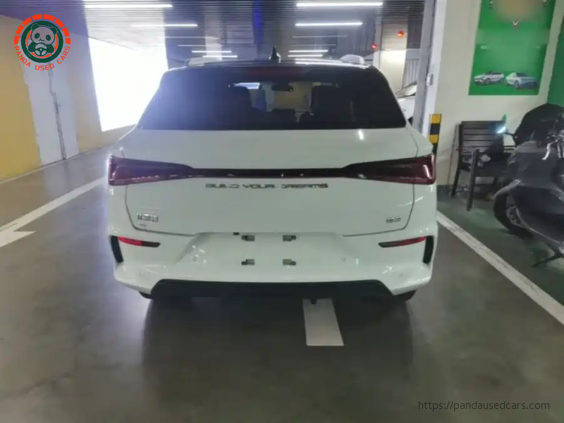 BYD BYD e2 2019 High Range Glory Deluxe Edition