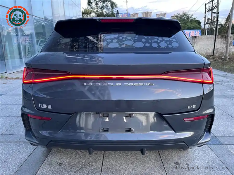 BYD BYD e2 2019 High Range Glory Deluxe Edition