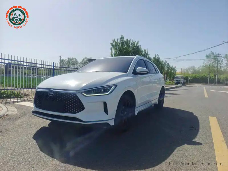 BYD BYD e2 2019 High Range Glory Deluxe Edition