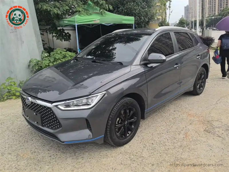 BYD BYD e2 2019 High Range Glory Deluxe Edition