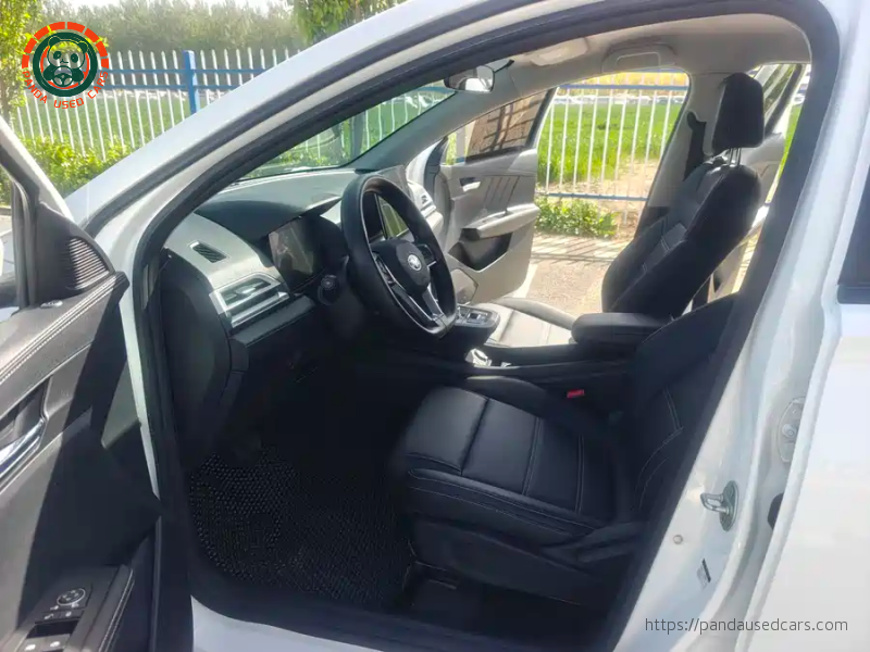 BYD BYD e2 2019 High Range Glory Deluxe Edition