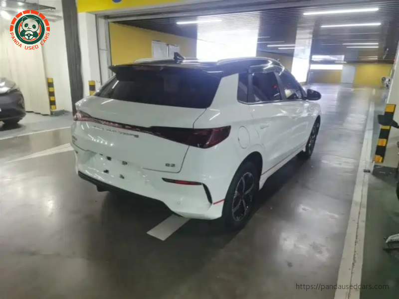 BYD BYD e2 2019 High Range Glory Deluxe Edition
