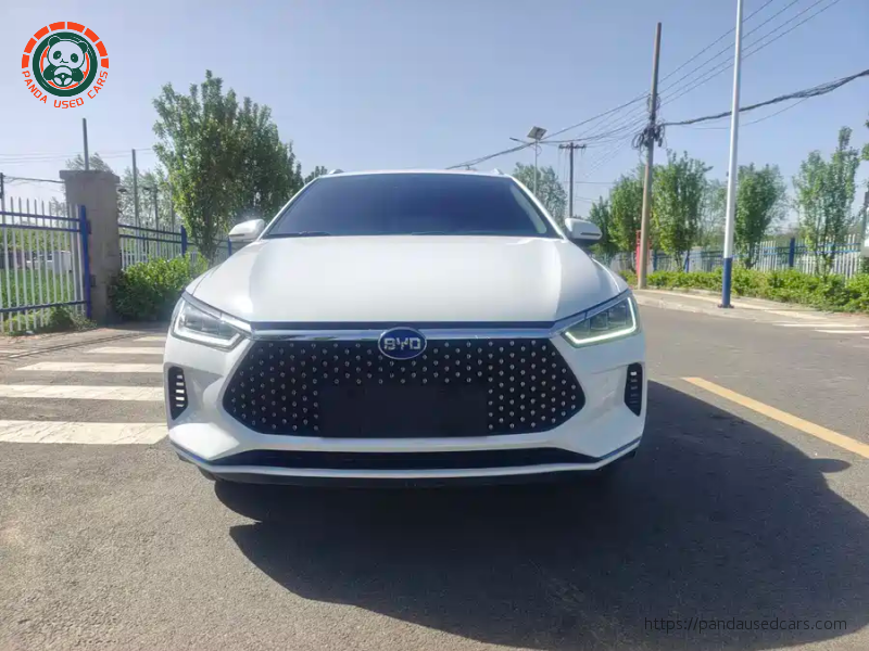 BYD BYD e2 2019 High Range Glory Deluxe Edition