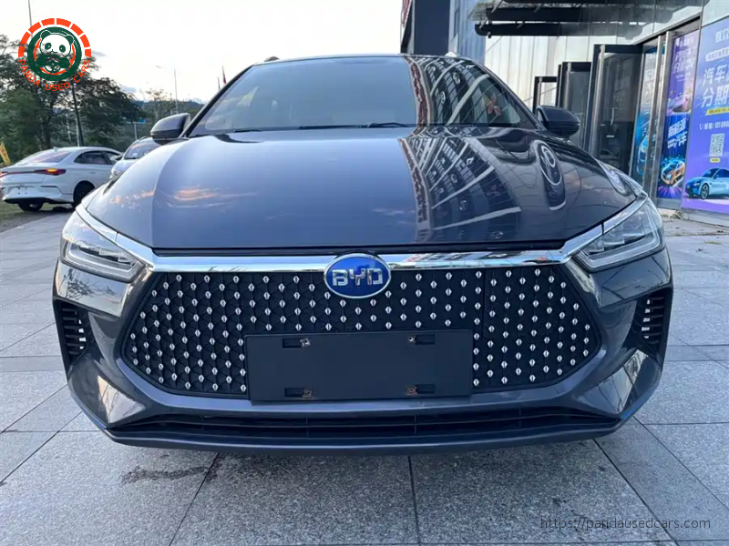 BYD BYD e2 2019 High Range Glory Deluxe Edition