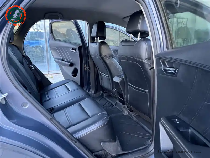 BYD BYD e2 2019 High Range Glory Deluxe Edition