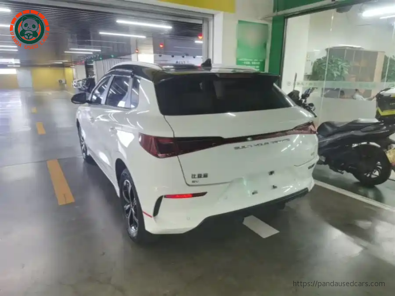 BYD BYD e2 2019 High Range Glory Deluxe Edition