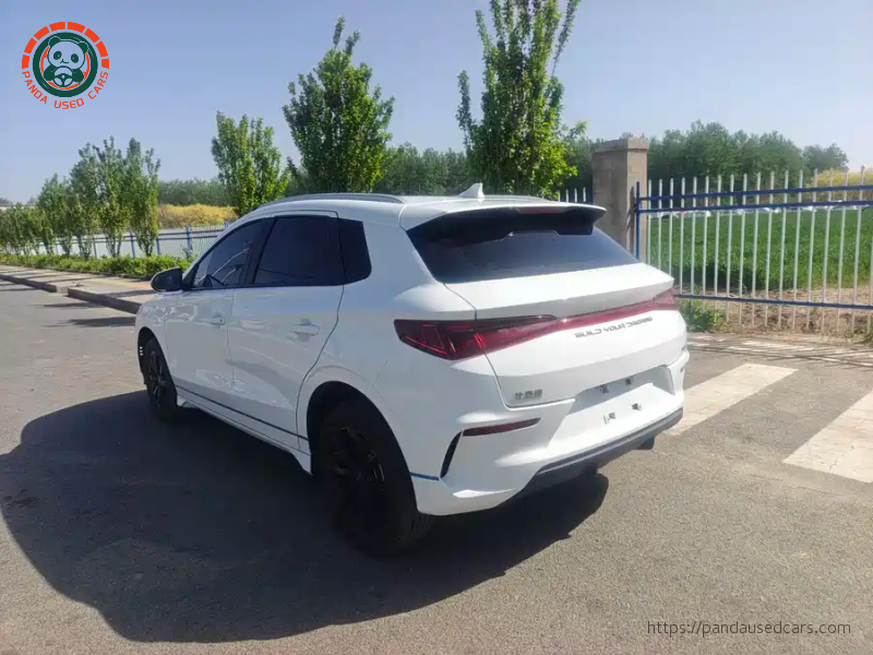 BYD BYD e2 2019 High Range Glory Deluxe Edition