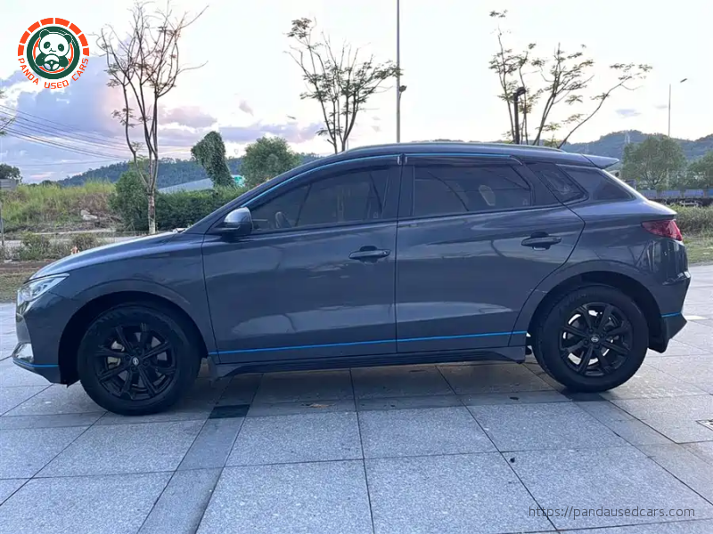BYD BYD e2 2019 High Range Glory Deluxe Edition