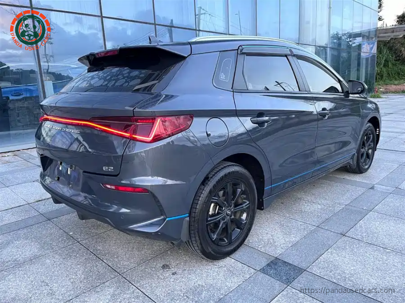 BYD BYD e2 2019 High Range Glory Deluxe Edition