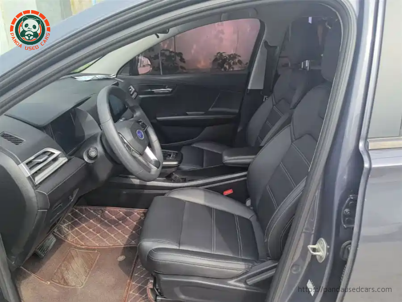 BYD BYD e2 2019 High Range Glory Deluxe Edition