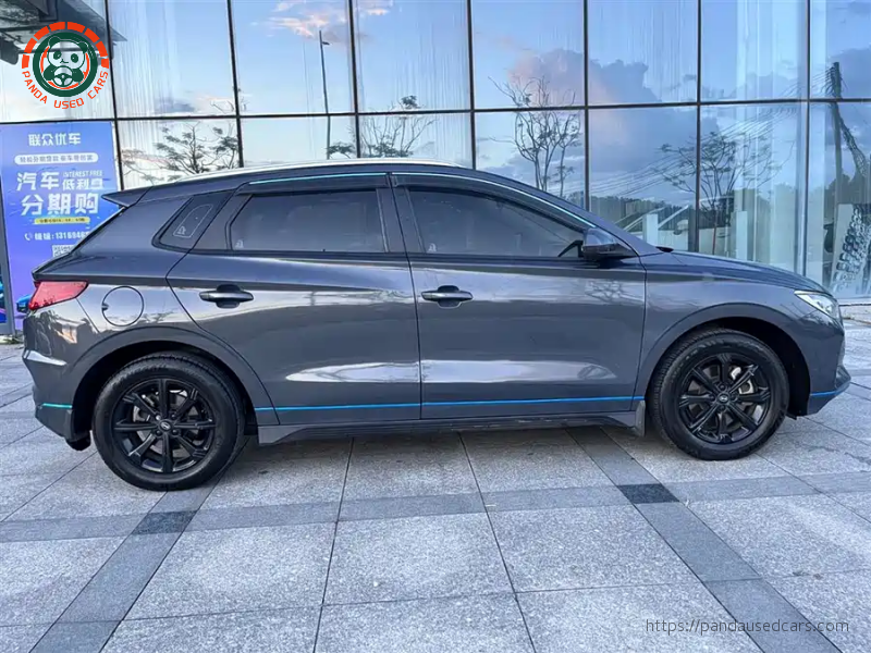 BYD BYD e2 2019 High Range Glory Deluxe Edition