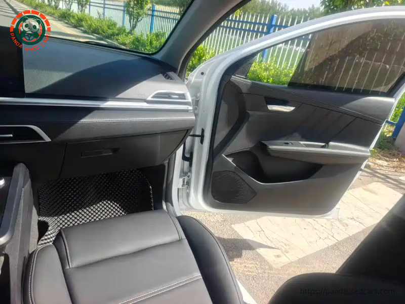 BYD BYD e2 2019 High Range Glory Deluxe Edition
