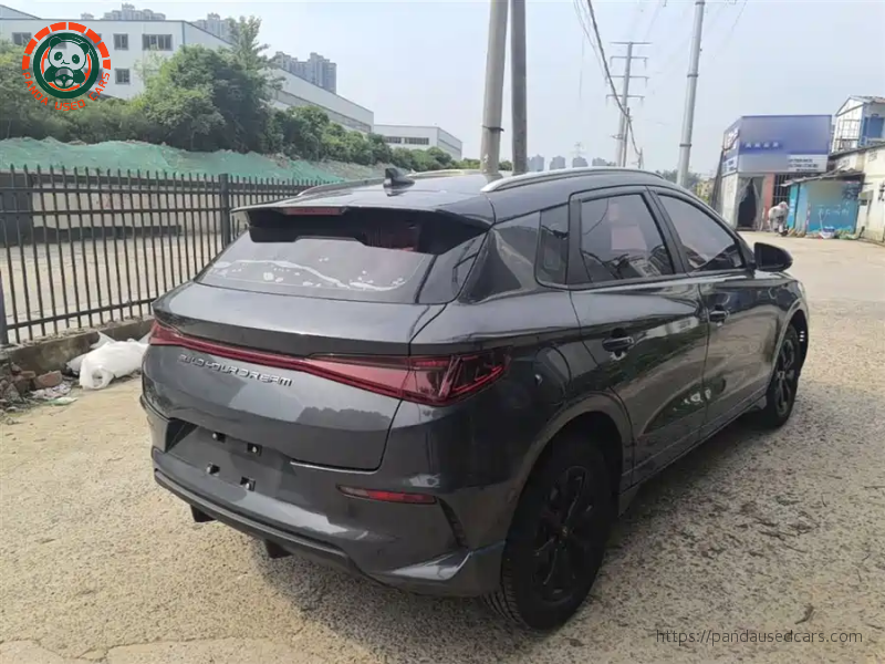 BYD BYD e2 2019 High Range Glory Deluxe Edition