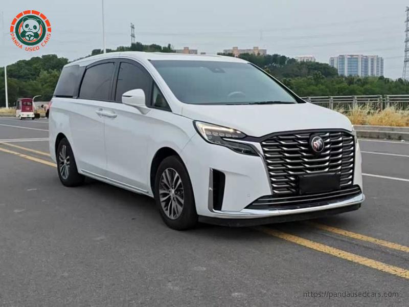 Buick Buick GL8 2023 ES Land Premium Joy Edition