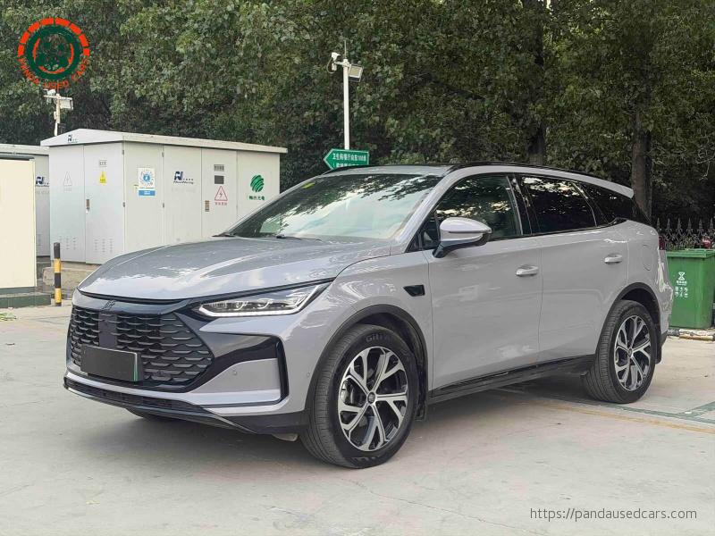 Tang 2025 Intelligent Driving Edition DM-i 115KM Premium Model