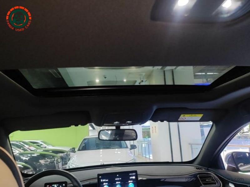 BYD BYD Qin PLUS 2021 DM-i 55KM Flagship Edition