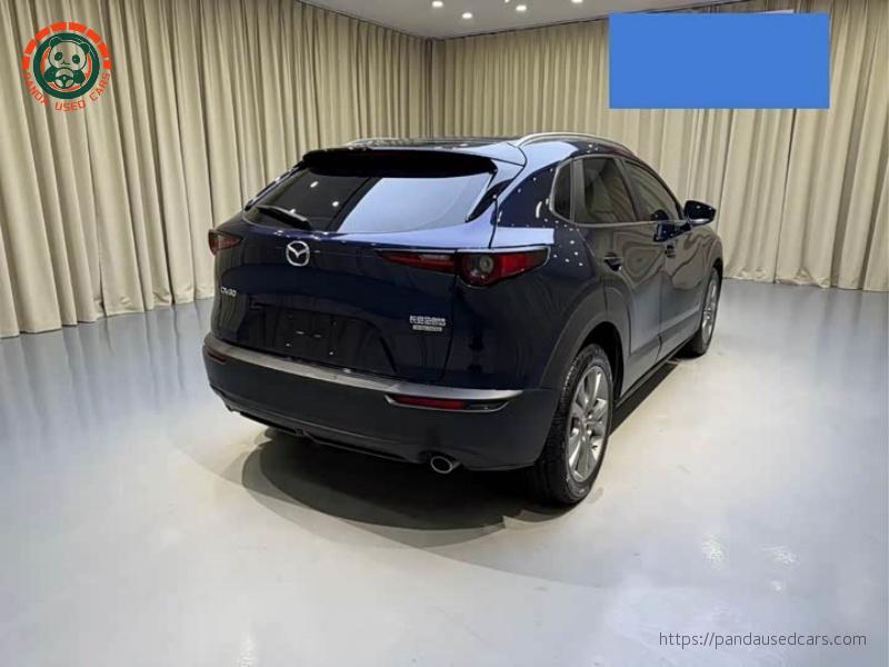 Mazda Mazda CX-30 2022 2.0L Auto Jiayue Model(5-door 5-seat Small SUV)