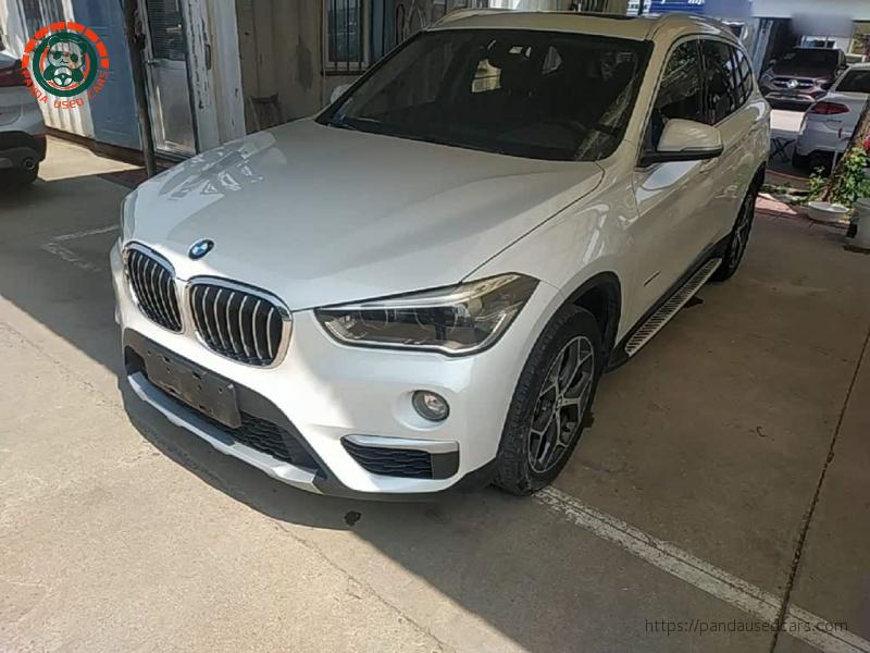 BMW X1 2018 xDrive20Li Luxury Model