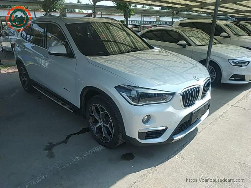 BMW BMW X1 2018 xDrive20Li Luxury Model