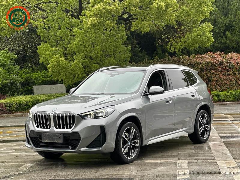 BMW X1 2023 xDrive25Li X Design Package