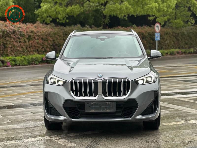 BMW BMW X1 2023 xDrive25Li X Design Package