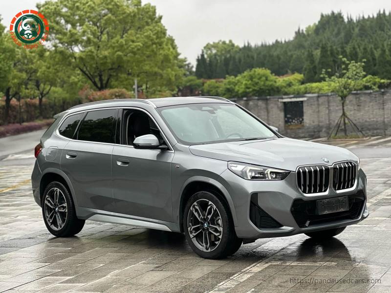 BMW BMW X1 2023 xDrive25Li X Design Package