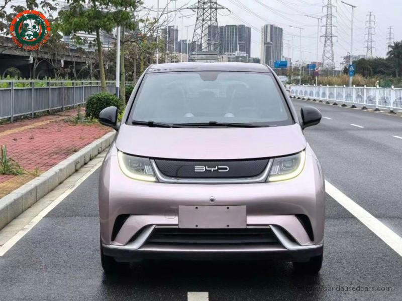 BYD BYD Dolphin 2021 Fashion Edition
