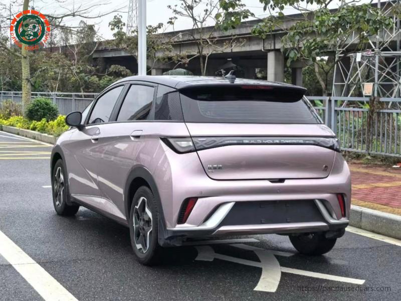 BYD BYD Dolphin 2021 Fashion Edition