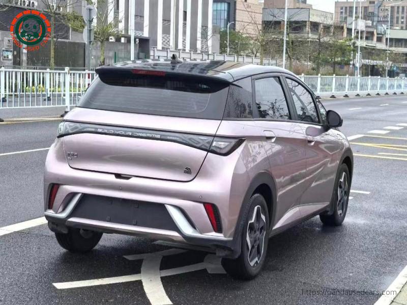 BYD BYD Dolphin 2021 Fashion Edition