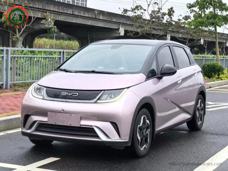 BYD BYD Dolphin 2021 Fashion Edition