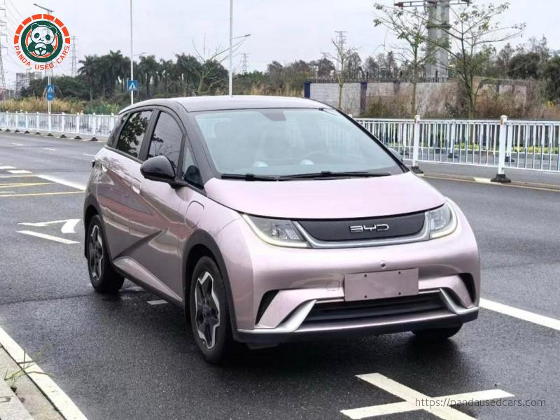 BYD BYD Dolphin 2021 Fashion Edition