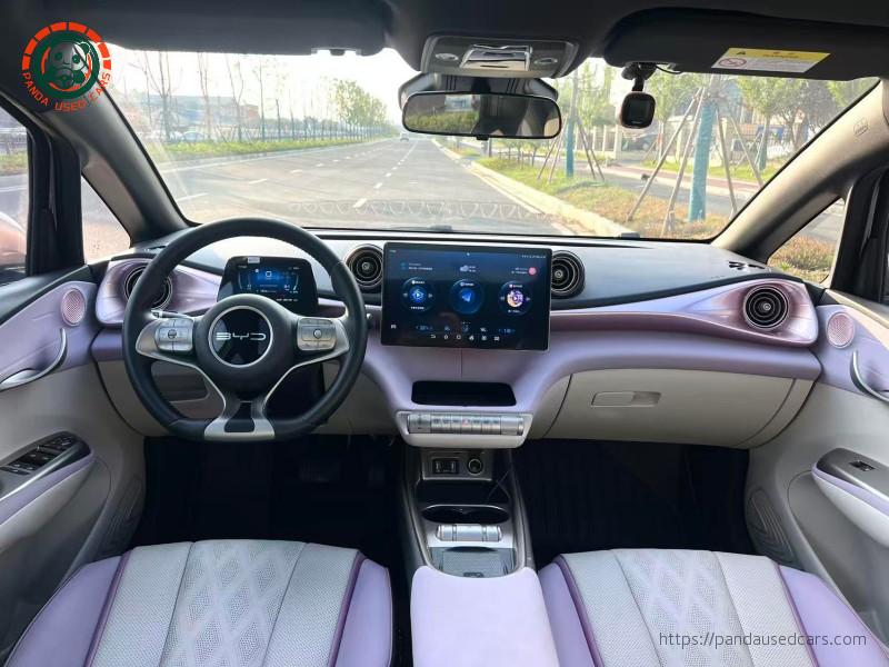 BYD BYD Dolphin 2023 Knight Edition