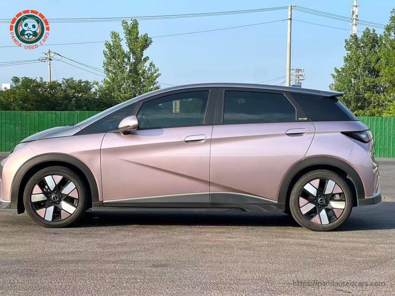 BYD BYD Dolphin 2023 Knight Edition