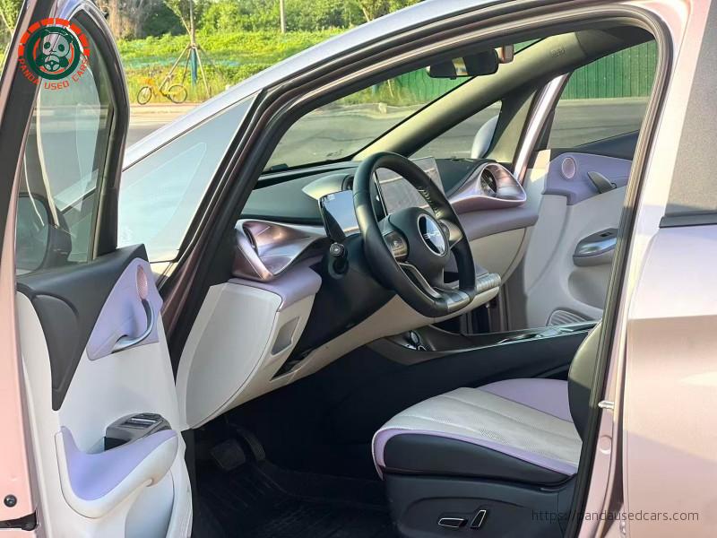 BYD BYD Dolphin 2023 Knight Edition