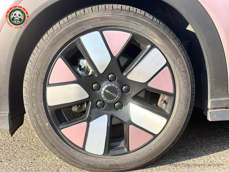 BYD BYD Dolphin 2023 Knight Edition
