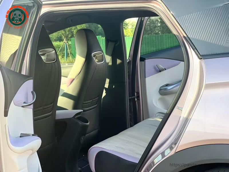BYD BYD Dolphin 2023 Knight Edition